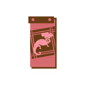 Blogs