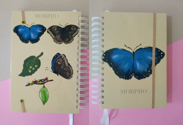 Agendas Fechadas - Imagen 11