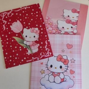 Folder Personalizado